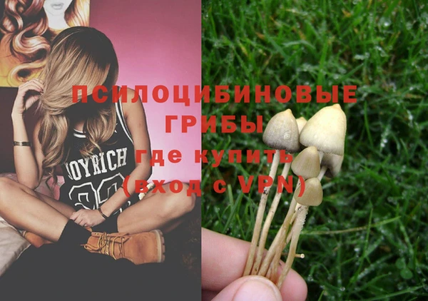 прущий лед Пестово