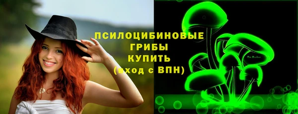 прущий лед Пестово