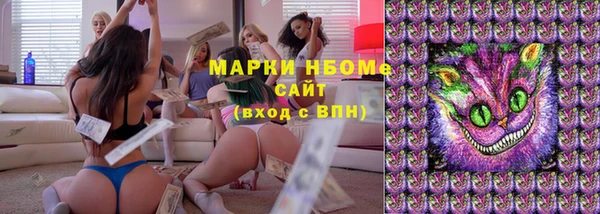 ГАЛЛЮЦИНОГЕННЫЕ ГРИБЫ Переславль-Залесский
