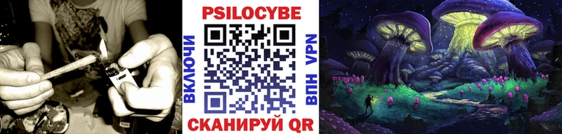 ссылка на мегу как зайти  купить   Каменногорск  Галлюциногенные грибы MAGIC MUSHROOMS 